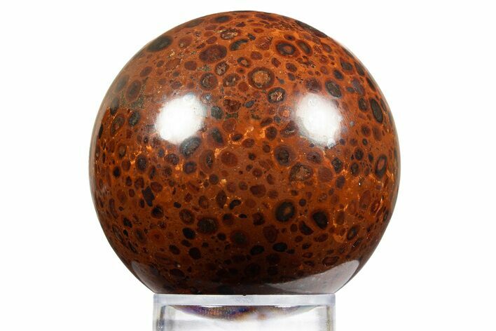 Polished Bauxite (Aluminum Ore) Sphere - Russia #316264